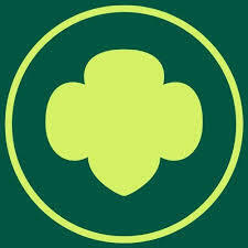 Team Page: Troop 54230